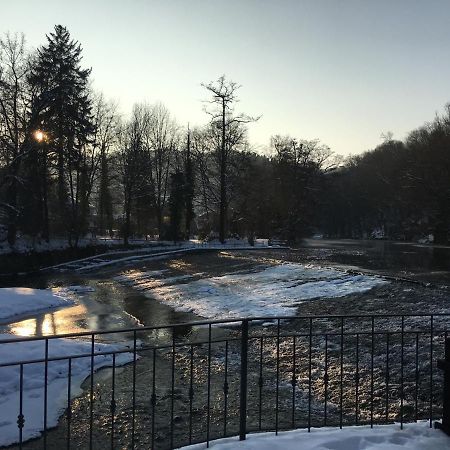 Auf Der Zschopau-Insel Lägenhet Exteriör bild