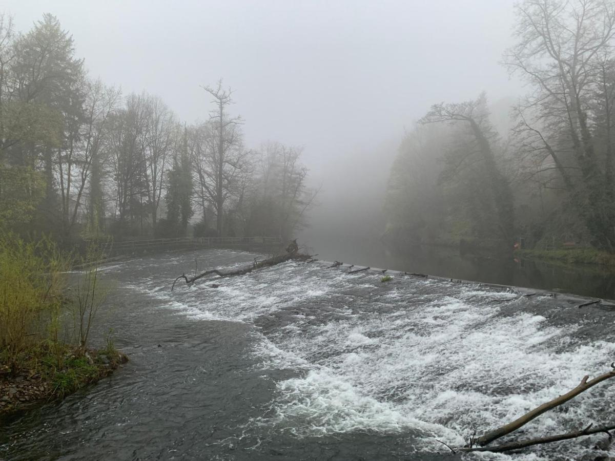 Auf Der Zschopau-Insel Lägenhet Exteriör bild